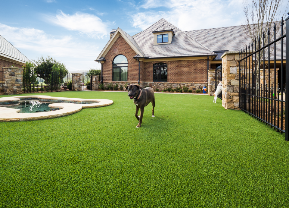 Pet Friendly Grass Artificial Turf - Chattanooga & Dalton