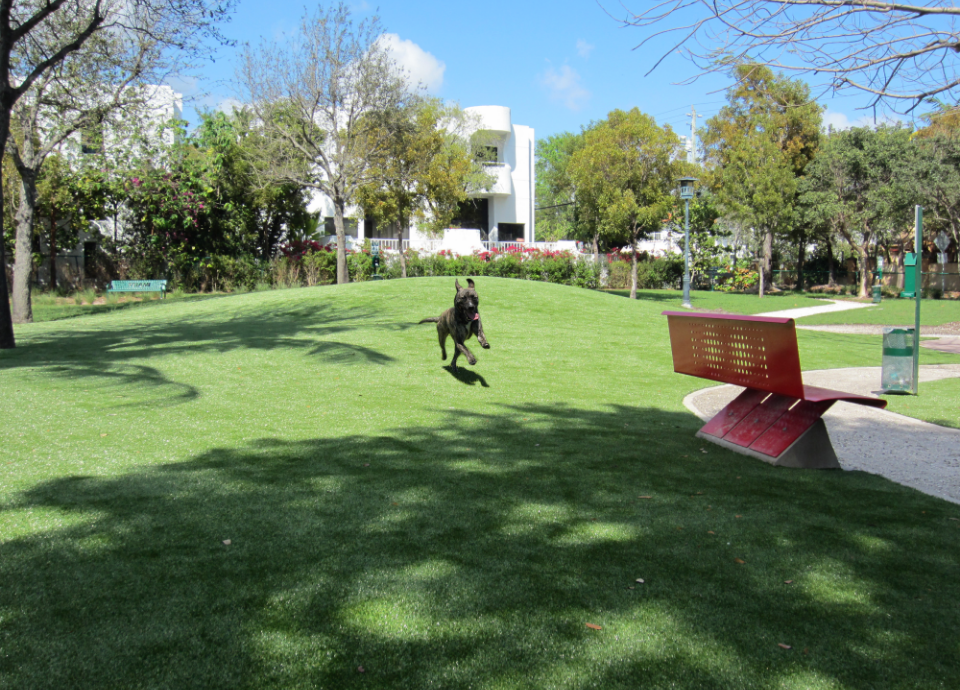 Artificial Turf Lawn Design And Installation - Chattanooga & Dalton
