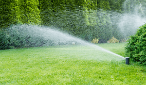 Grass and More Outdoor Sprinkler Irrigation