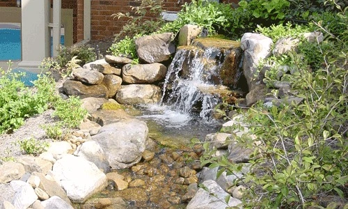 Landscaping Company- Chattanooga & Dalton